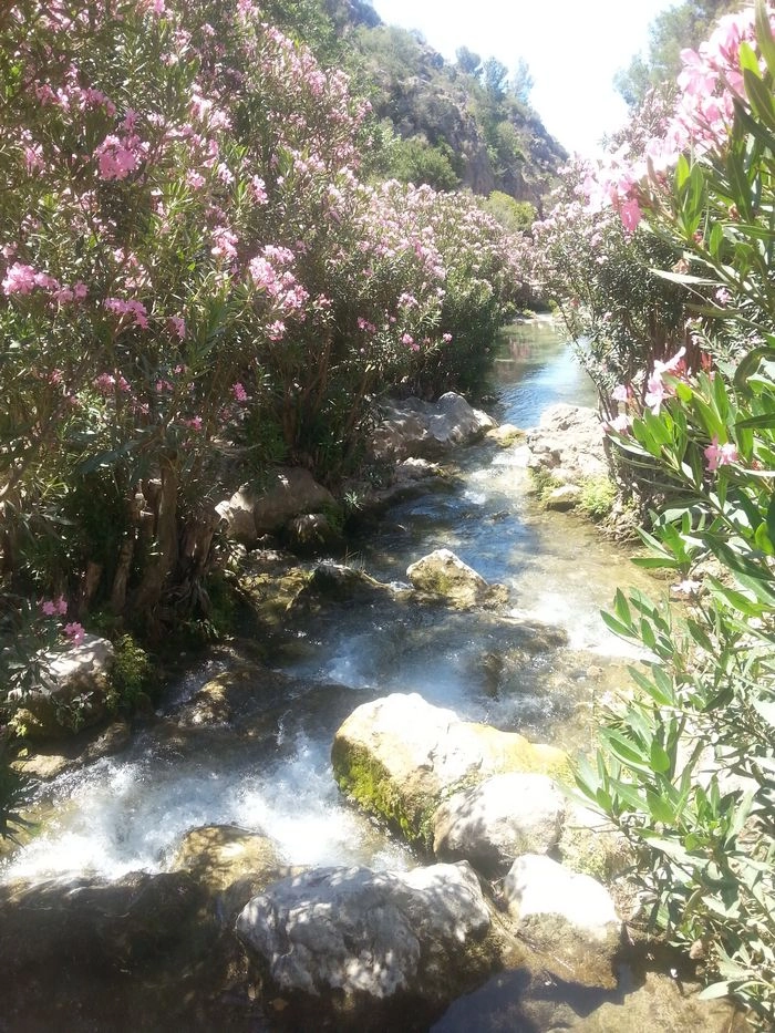 Fuentes del Algar - Callosa d'en Sarrià