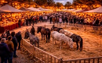 Programación de la Fira i Porrat de Sant Antoni en Benissa 2026